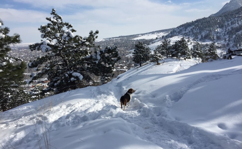 Boulder Snow Hike